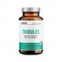 ICONFIT Tribulus | Tribulus Terrestris & cinks 90 kapsulas