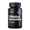 VPLab Tribulus Terrestris | Testosteronam un enerģijai 90 Kapsulas VPLab Tribulus Terrestris | Testosteronam un enerģijai 90 Kapsulas