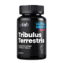 VPLab Tribulus Terrestris | Testosteronam un enerģijai 90 Kapsulas